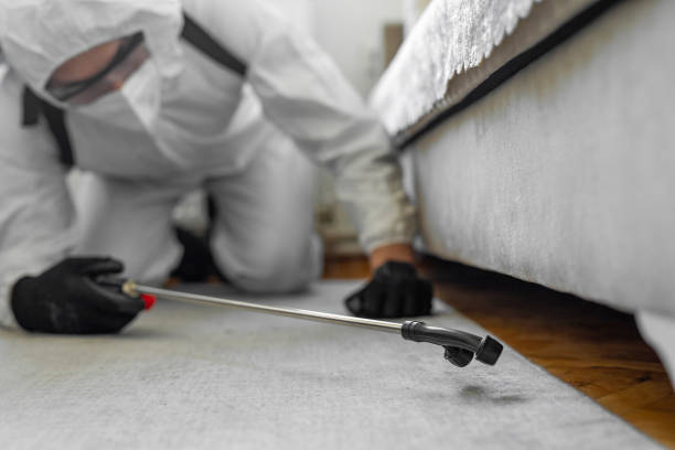 Professional Pest Control technician working in Vernon County County, WI